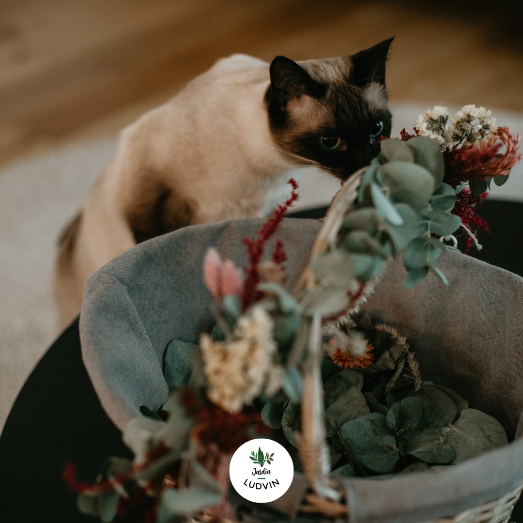 Untitled design-80 Bestel jouw trouwboeket bij Jardin Ludvin