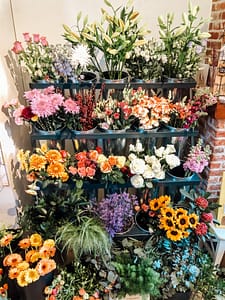 Bezoek onze gezellige winkel!