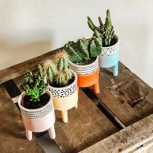 Bezoek onze gezellige winkel!